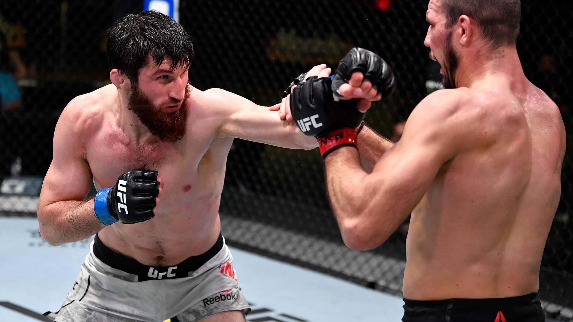 每个人都能 每个人都能